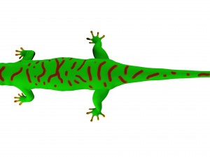 madagascar day gecco 3D Model