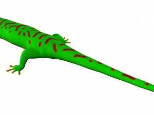 madagascar day gecco 3D Model