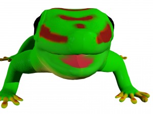 madagascar day gecco 3D Model