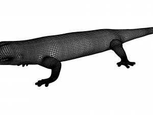 madagascar day gecco 3D Model