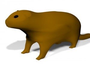 groundhog Modello 3D