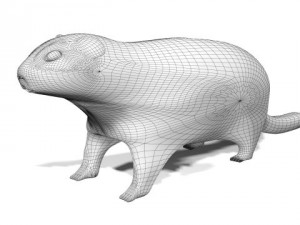 groundhog uvw 3D Модель
