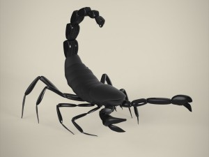 scorpio Model 3D