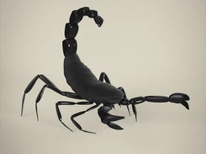scorpione Modello 3D