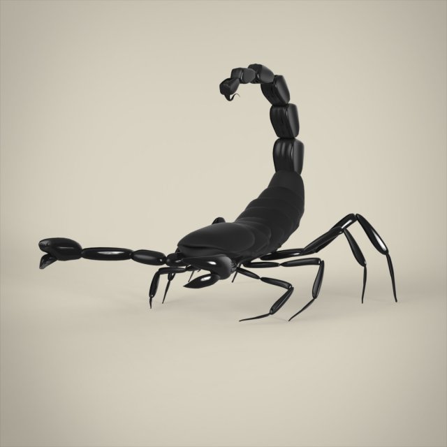 Scorpio 3d Model In Insects 3dexport 4884