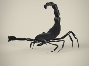 scorpio 3D मॉडल