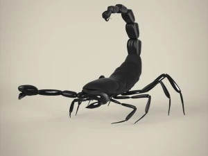 scorpio 3D Model