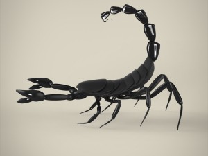 scorpio 3D मॉडल