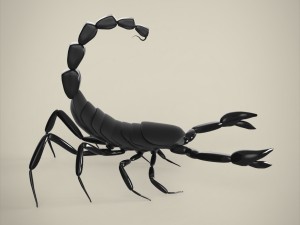scorpio 3D मॉडल