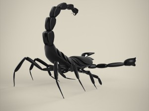 scorpio 3D मॉडल