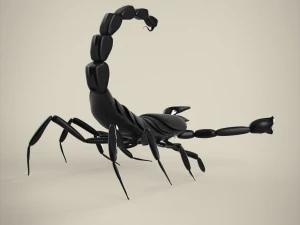 scorpio 3D Model