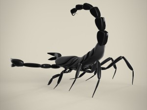 scorpio 3D मॉडल