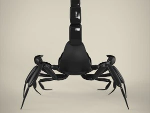 scorpio 3D Model