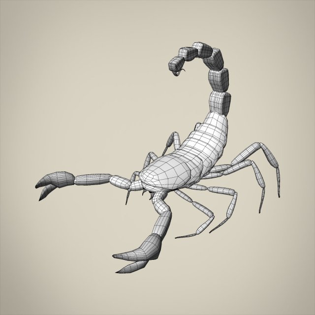 Scorpio 3d Model In Insects 3dexport 5731