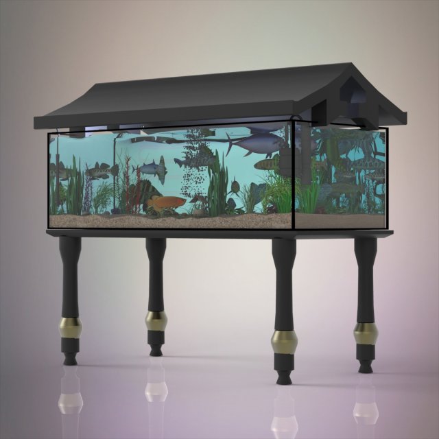 fish aquarium 3D Model .c4d .max .obj .3ds .fbx .stl .blend 