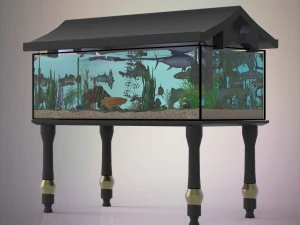 balık akvaryumu 3D Model