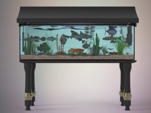 fish aquarium 3D Model