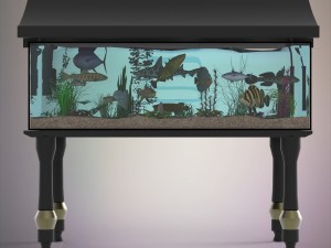 fish aquarium 3D Model