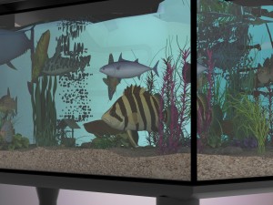 fish aquarium 3D Model