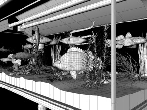fish aquarium 3D Model
