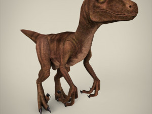 raptor 3Dモデル