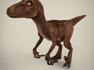 raptor 3D Model