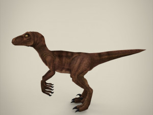 raptor 3D Model