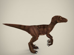 raptor 3D Model