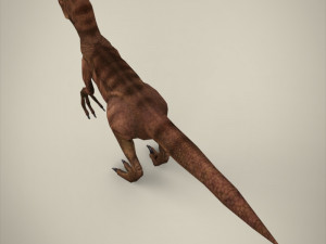 raptor 3D Model