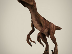 raptor 3D Model