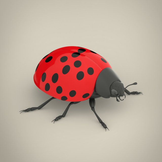 ladybird Model 3D .c4d .max .obj .3ds .fbx .stl .blend 