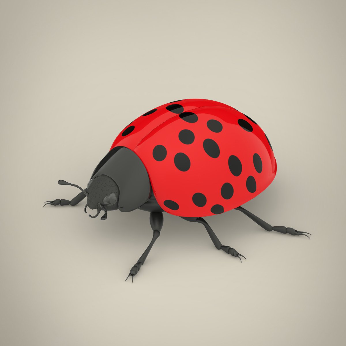 Ladybug 3d. Божья коровка 3d model. Ladybug 3d. Ladybug 3d модель для печати. 3d насекомые.