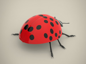 ladybird Model 3D