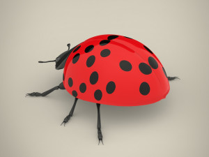 ladybird Model 3D