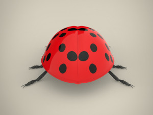 ladybird Model 3D