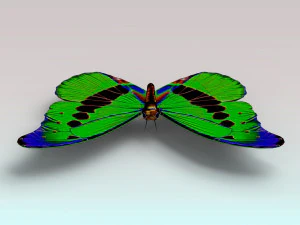 butterfly 3D Model