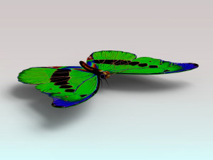 butterfly Modello 3D