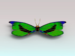 butterfly Modello 3D
