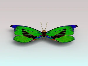 butterfly 3D Model
