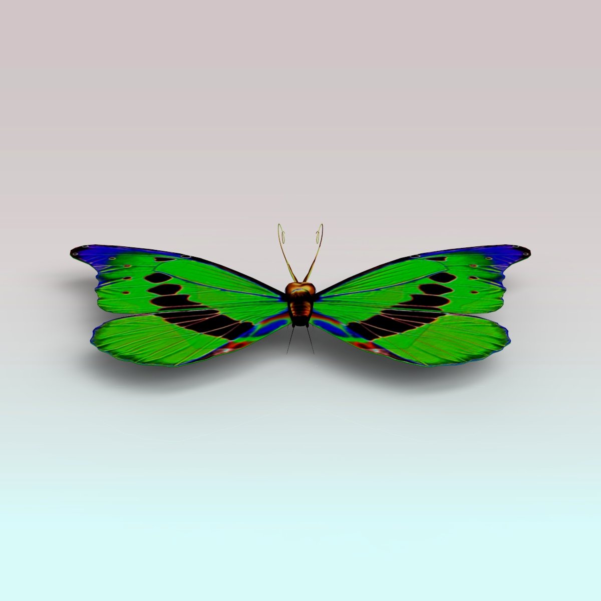 Бабочка 3д модель