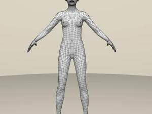female base mesh 3D Model