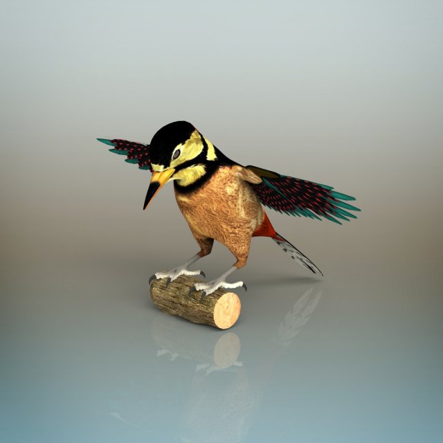 woodpecker bird Model 3D .c4d .max .obj .3ds .fbx .stl .blend 
