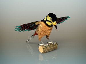 woodpecker bird Model 3D