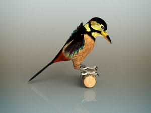 woodpecker bird Model 3D