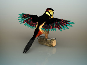 woodpecker bird Model 3D