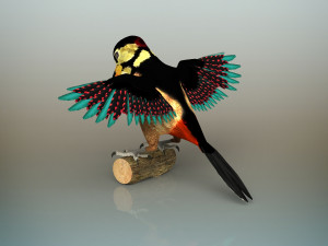 woodpecker bird Model 3D