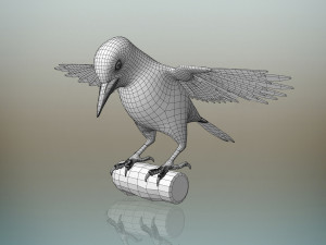 woodpecker bird Model 3D