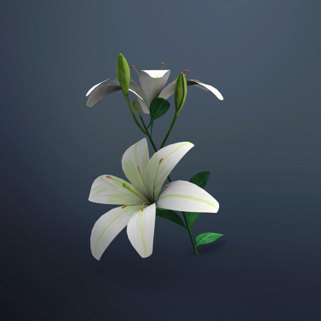 lily flower Modèle 3D .c4d .max .obj .3ds .fbx .stl .blend 