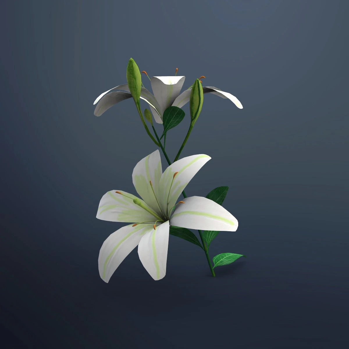 flor de lirio Modelo 3D .c4d .max .obj .3ds .fbx .stl .blend 