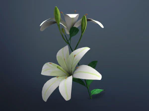 fiore di giglio Modello 3D